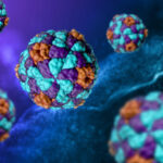 % Norovirusas: Norovirus: simptomai, priežastys, gydymas, prevencija
