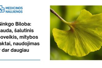 % Ginkgo Biloba: nauda, šalutinis poveikis, mitybos faktai, naudojimas ir dar daugiau