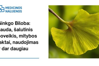 % Ginkgo Biloba: nauda, šalutinis poveikis, mitybos faktai, naudojimas ir dar daugiau