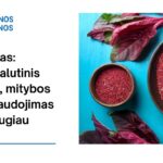 % Amarantas: nauda, šalutinis poveikis, mitybos faktai, naudojimas ir dar daugiau