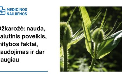% Ožkarožė: nauda, šalutinis poveikis, mitybos faktai, naudojimas ir dar daugiau