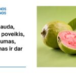 % Guava: nauda, šalutinis poveikis, maistingumas, naudojimas ir dar daugiau