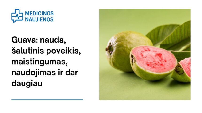 % Guava: nauda, šalutinis poveikis, maistingumas, naudojimas ir dar daugiau