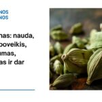 % Kardamonas: nauda, šalutinis poveikis, maistingumas, naudojimas ir dar daugiau