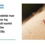 % Geriausi vaistai nuo Laimo ligos: ką reikia žinoti norint pasveikti be komplikacijų