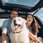 % KET teorija, stresas ir miegas: kai bilietai priverčia rūpintis savimi