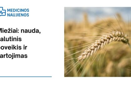 % Miežiai: nauda, šalutinis poveikis, maistingumo faktai, naudojimas ir dar daugiau