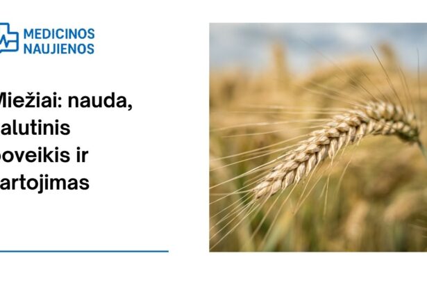 % Miežiai: nauda, šalutinis poveikis, maistingumo faktai, naudojimas ir dar daugiau