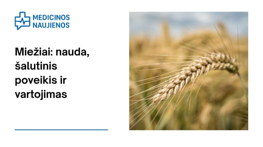 % Miežiai: nauda, šalutinis poveikis, maistingumo faktai, naudojimas ir dar daugiau