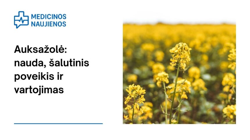 % Auksažolė: nauda, šalutinis poveikis, mitybos faktai, naudojimas ir dar daugiau