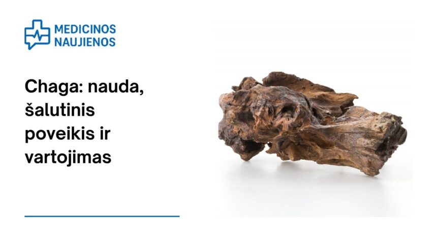 % Chaga: nauda, šalutinis poveikis, mitybos faktai, naudojimas ir dar daugiau