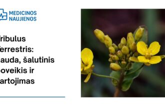 % Tribulus Terrestris: nauda, šalutinis poveikis, mitybos faktai, naudojimas ir dar daugiau