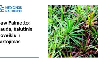 % Saw Palmetto: nauda, šalutinis poveikis, mitybos faktai, naudojimas ir dar daugiau