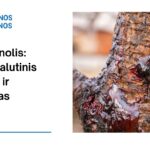 % Piknogenolis (Prancūzijos jūrų pušų žievės ekstraktas): nauda, šalutinis poveikis, mitybos faktai, naudojimas ir dar daugiau