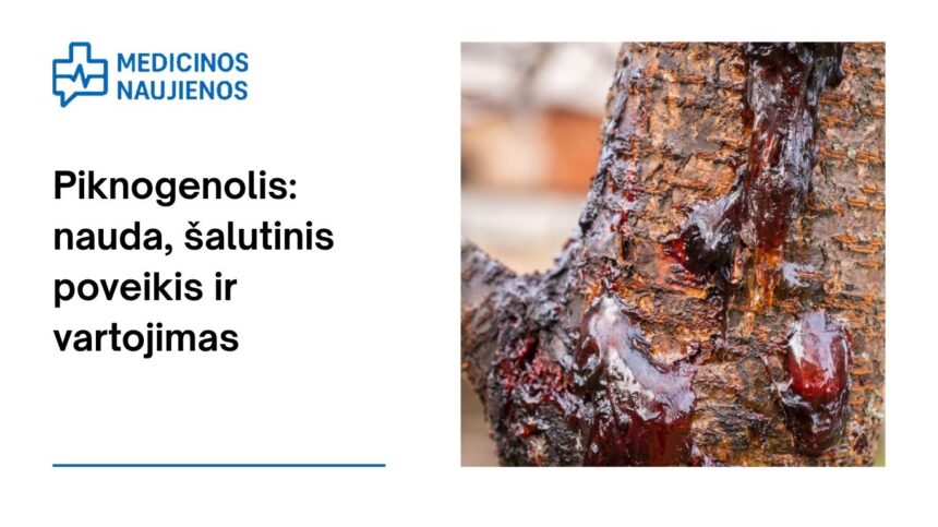 % Piknogenolis (Prancūzijos jūrų pušų žievės ekstraktas): nauda, šalutinis poveikis, mitybos faktai, naudojimas ir dar daugiau