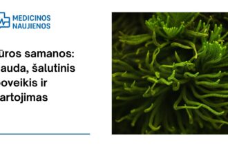 % Jūros samanos: nauda, šalutinis poveikis, mitybos faktai, panaudojimas ir dar daugiau
