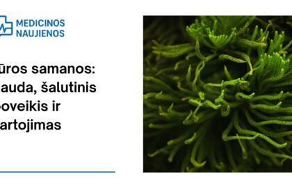 % Jūros samanos: nauda, šalutinis poveikis, mitybos faktai, panaudojimas ir dar daugiau