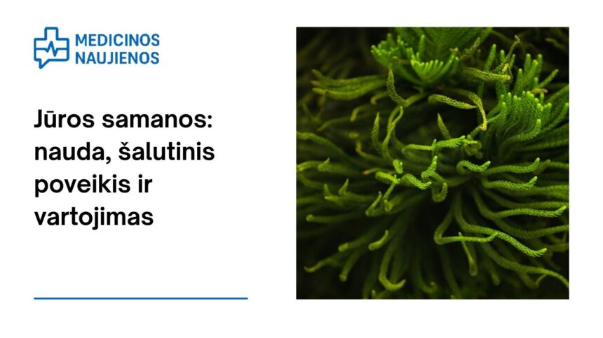 % Jūros samanos: nauda, šalutinis poveikis, mitybos faktai, panaudojimas ir dar daugiau