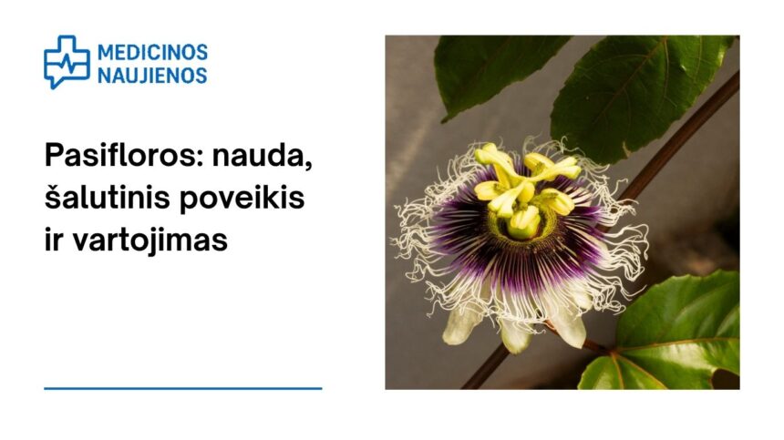 % Pasifloros: nauda, šalutinis poveikis, mitybos faktai, naudojimas ir dar daugiau