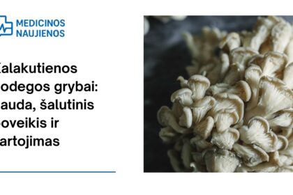 % Kalakutienos uodegos grybai: nauda, šalutinis poveikis, maistingumo faktai, naudojimas ir dar daugiau