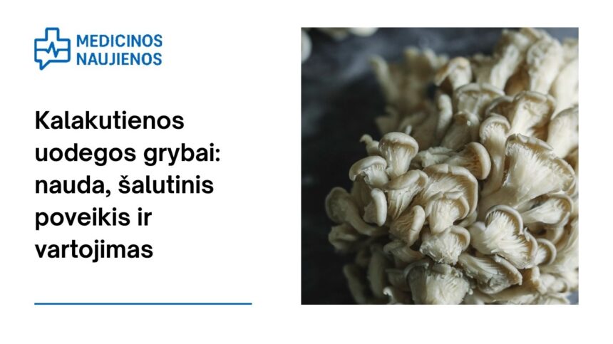 % Kalakutienos uodegos grybai: nauda, šalutinis poveikis, maistingumo faktai, naudojimas ir dar daugiau