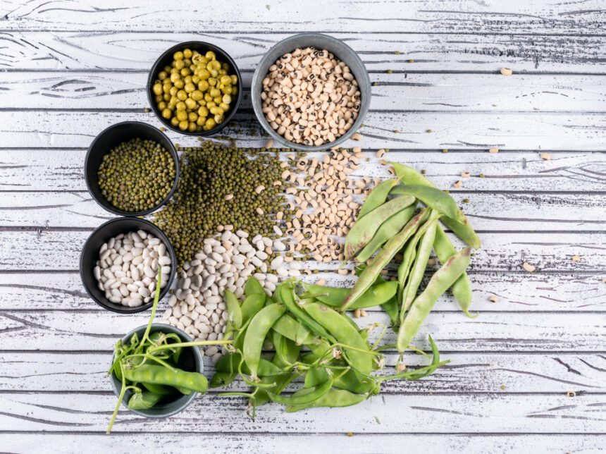 % Skirtingų augalinių proteinų palyginimas: žirnių, ryžių, sojos, kanapių